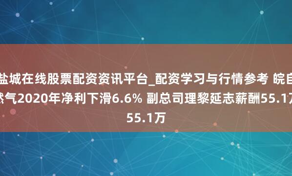 盐城在线股票配资资讯平台_配资学习与行情参考 皖自然气2020年净利下滑6.6% 副总司理黎延志薪酬55.1万